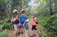Private MEGA El Yunque Full Day Tour: Rainforest, Rivers, Beaches