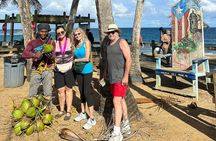 Private MEGA El Yunque Full Day Tour: Rainforest, Rivers, Beaches