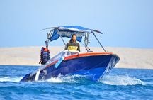 Swim With Dolphin By Semi PRIVATE Speedboat & Transfer - Hurghada