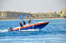 Swim With Dolphin By Semi PRIVATE Speedboat & Transfer - Hurghada