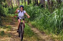 Electric Bike Bajan Sightseeing Experience (Transport Included)