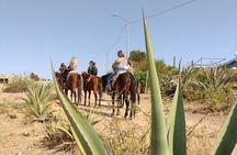 Mexican Equestrian Experience