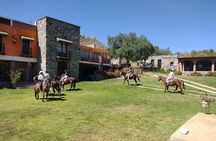 Mexican Equestrian Experience