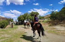 Mexican Equestrian Experience