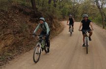 Mountain and city cycling.
