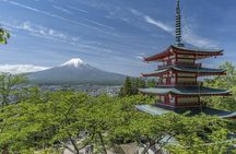 Private Mt Fuji, Hakone and Tokyo Tour - English Speaking Driver