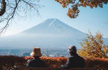 Private Mt Fuji, Hakone and Tokyo Tour - English Speaking Driver