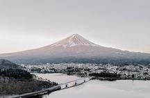 Private Mt Fuji, Hakone and Tokyo Tour - English Speaking Driver