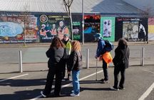 Belfast Troubles Tour: Walls and Bridges