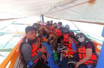 Full-Day Puerto Princesa Honda Bay Island Hopping Tour