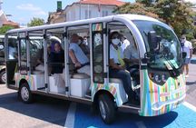 Full-Day Princes Island Tour with Lunch from Istanbul