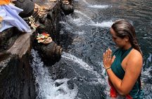 Ubud : Waterfall, Temple & Rice Terrace Guided Tour
