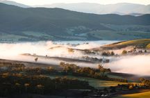  Experience Yarra Valley: A Tailored private Wine Journey