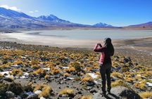3-Day Private Tour to Salar Uyuni with Hotel Included