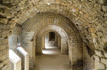 Guided Tour to Flavian Amphitheater, Rione Terra, Temple of Serapis