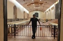 Concha y Toro semi-private tour with 3 wine tastings