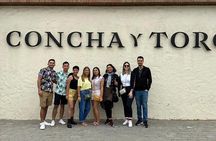 Concha y Toro semi-private tour with 3 wine tastings