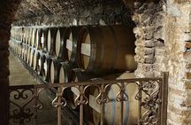 Concha y Toro semi-private tour with 3 wine tastings
