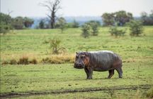 4-Day Private Lake Natron and Serengeti Wildlife Safari