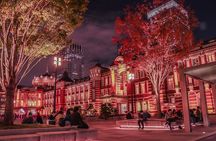 Private Amazing Tokyo Night Tour with English Speaking Driver 