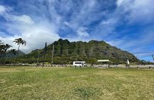 Oahu Allstar Circle Island Tour: Dole, Turtles. Blowhole, Fun