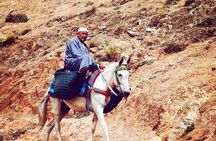 Atlas Mountains Tour from Marrakesh 