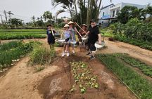 Marble Mountain-Hoi An Countryside Tour &Hoi An City Private Tour