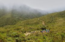 8 Days Kilimanjaro Climb Private Tour - Lemosho Route