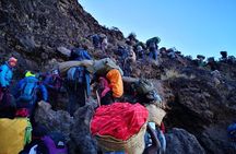 8 Days Kilimanjaro Climb Private Tour - Lemosho Route