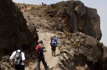8 Days Kilimanjaro Climb Private Tour - Lemosho Route