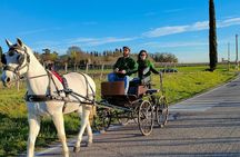 Horse Carriage Tour and Wine Tasting in Lazise