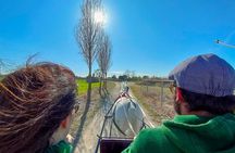 Horse Carriage Tour and Wine Tasting in Lazise