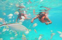 Speedboat Adventure to Snorkeling Spot and Natural Pool