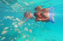 Full Day Buggy Experience and Snorkeling Cruise with Open Bar