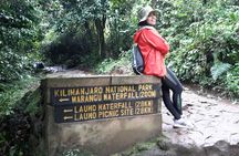 6 Days Kilimanjaro climb - Marangu route