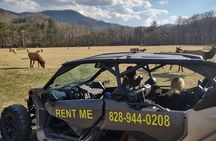 (4 HR) UTV ECO Elk Wilderness Adventure 