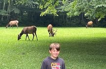 (4 HR) UTV ECO Elk Wilderness Adventure 