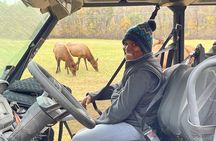 (4 HR) UTV ECO Elk Wilderness Adventure 