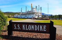 Discover Whitehorse with Northern Lights and Yukon Wildlife Tour