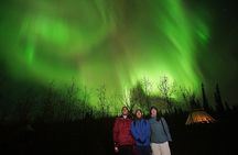 Discover Whitehorse with Northern Lights and Yukon Wildlife Tour