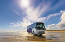 Far North New Zealand Tour Including 90 Mile Beach and Cape Reinga from Paihia