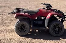 Private 3-Hours Quad Bike Safari Tour & Camel Ride From Hurghada