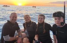 Manta Ray Night Snorkel Experience of a Lifetime 