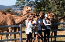 One Hump Camel Farm and Wine Tour