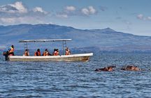 Hells Gate and Lake Naivasha Guided Bike Tour From Nairobi