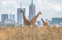 Nairobi National Park and Beads Factory Private Tour