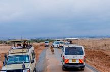 Nairobi National Park and Beads Factory Private Tour