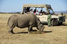 Day Tour to Olpajeta Conservancy from Nairobi With 4*4 Vehicle