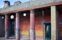 Half Day Herculaneum and Pompeii Tour from Positano