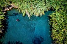 Private tour : Materuni Waterfalls & Coffee Tour with Local Lunch